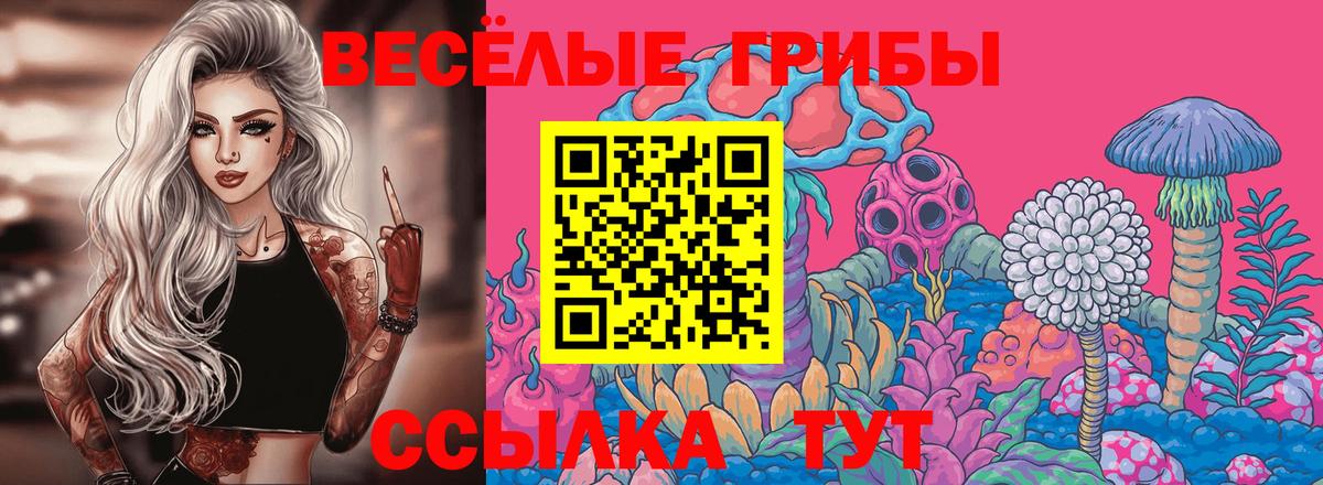 Галлюциногенные грибы Cubensis  Вход с VPN  Ликино-Дулёво 